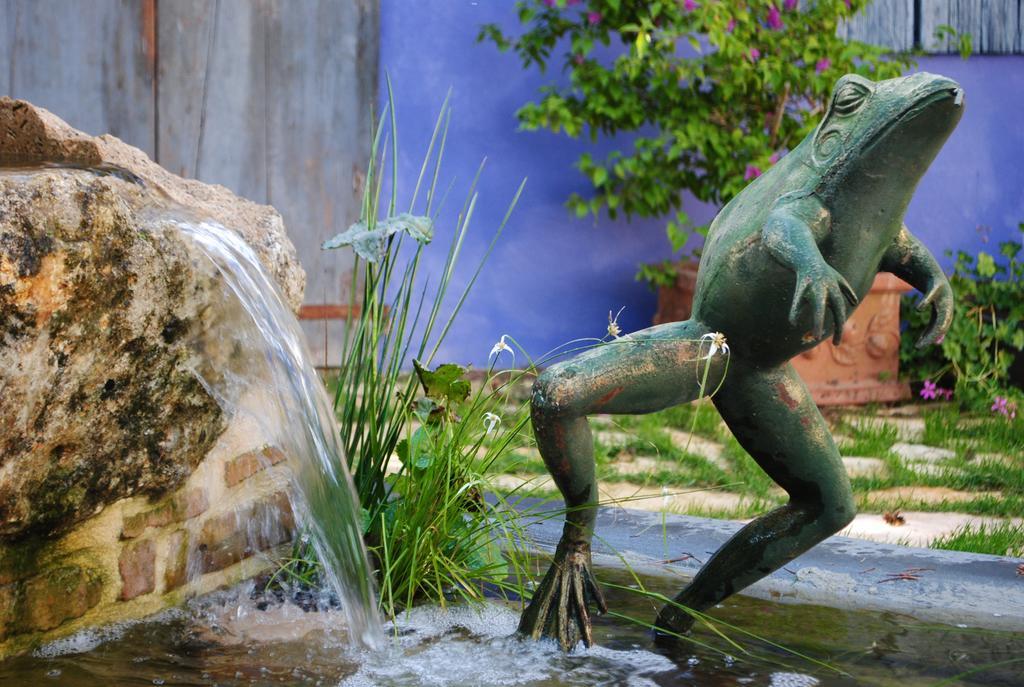 Ca'Bevilacqua Bed&Breakfast Bertinoro Ngoại thất bức ảnh