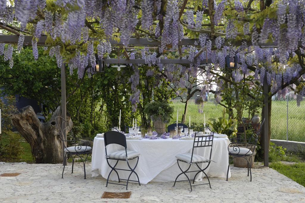 Ca'Bevilacqua Bed&Breakfast Bertinoro Ngoại thất bức ảnh
