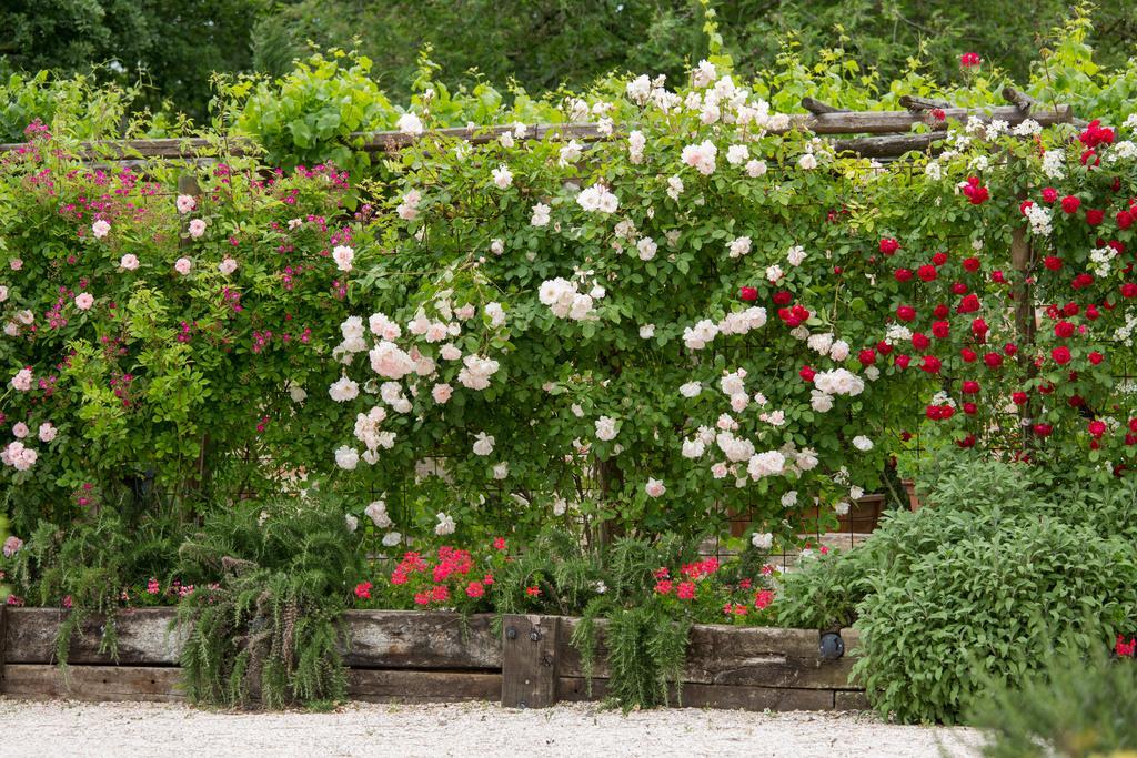 Ca'Bevilacqua Bed&Breakfast Bertinoro Ngoại thất bức ảnh