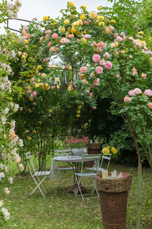Ca'Bevilacqua Bed&Breakfast Bertinoro Ngoại thất bức ảnh